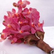 �������ͣ���������ÿһ��