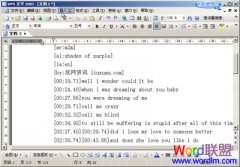 ����WPS���ֱ���